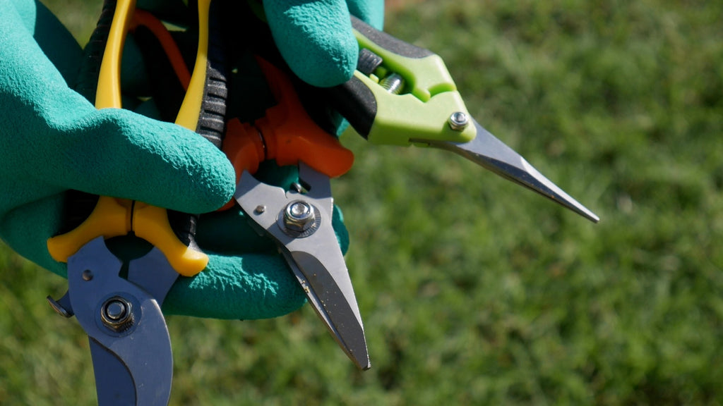 3-Piece Garden Pruning Shears Set with Stainless Steel Blades and Protective Gloves