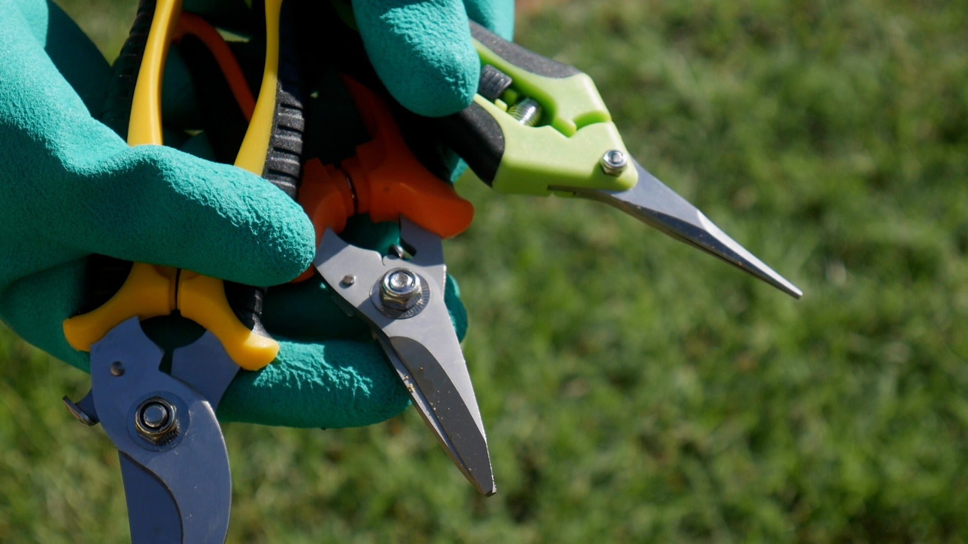 3-Piece Garden Pruning Shears Set with Stainless Steel Blades and Protective Gloves